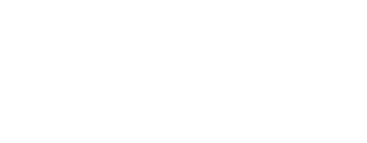 Harpers Ferry Pistols